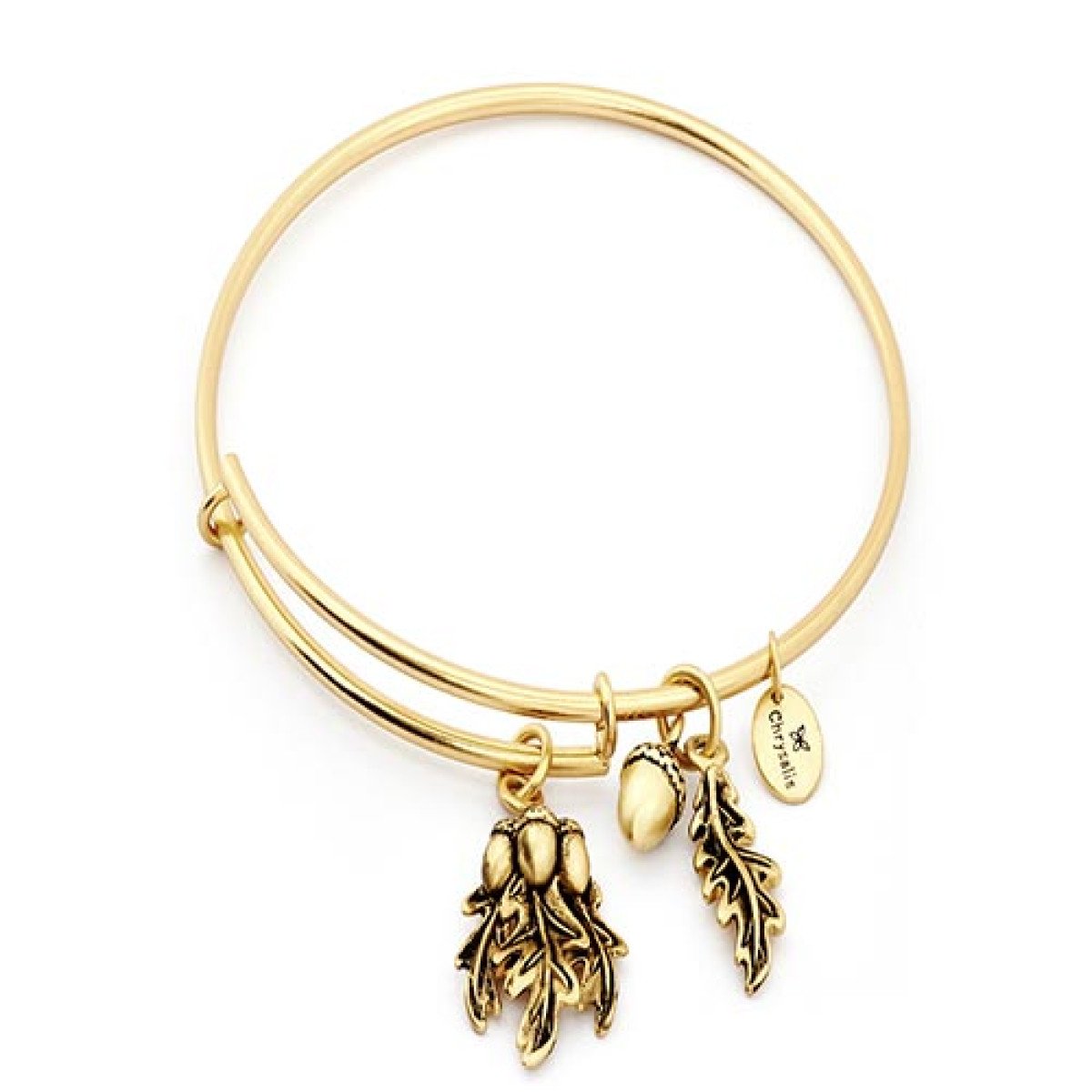 Βραχιολι Ορυχαλκινο Chrysalis Spirited Acorn Crbt1202Gp