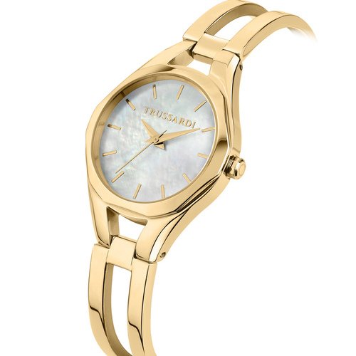 Ρολόι Trussardi R2453159501