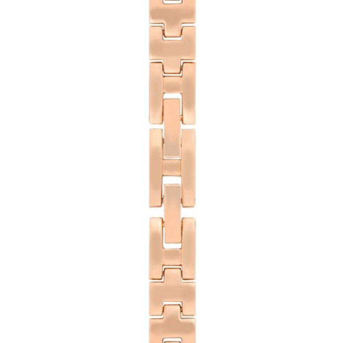 Us Polo WATCH 5876RG