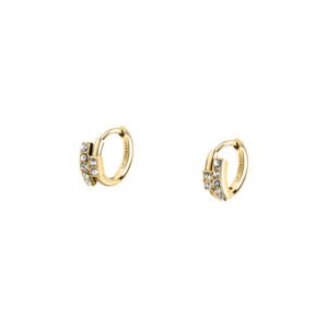 Σκουλαρίκια Trussardi TJAXC87