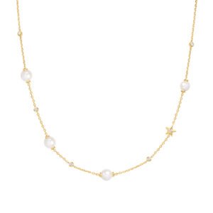 Κολιε Ania Haie N065-09G