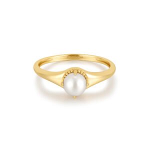 Δαχτυλιδι Ania Haie R058-06G-52|56